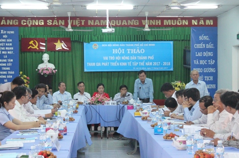 TP. Hồ Chí Minh: Nhân rộng mô hình sản xuất thực phẩm sạch