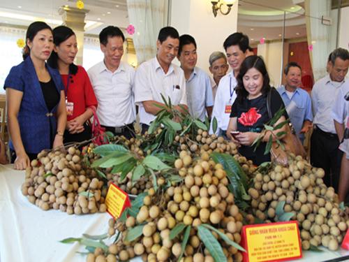 Hưng Yên quảng bá nhãn lồng tại Hà Nội