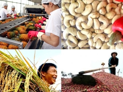 Phát triển khâu chế biến - lời giải để nông sản vững bước vào EU