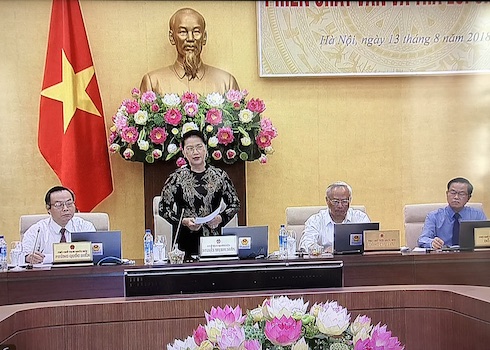 Chính sách dân tộc còn chưa đồng bộ, mang tính nhiệm kỳ