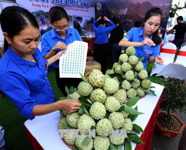 Dán tem truy xuất nguồn gốc xuất xứ cho sản phẩm na Chi Lăng.