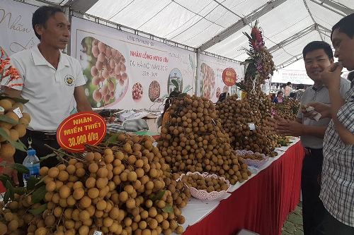 Khai mạc "Tuần lễ nhãn lồng Hưng Yên tại Hà Nội năm 2018"