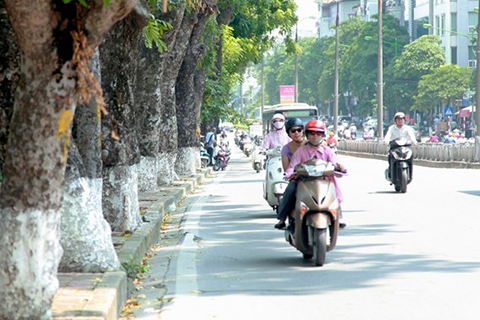 Áp thấp nhiệt đới và mưa lớn ở Tây Nguyên và Nam Bộ