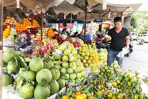 hoa quả nội