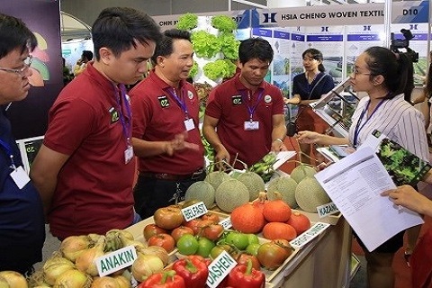 Xuất khẩu rau quả Việt sang Thái Lan tăng trưởng tích cực