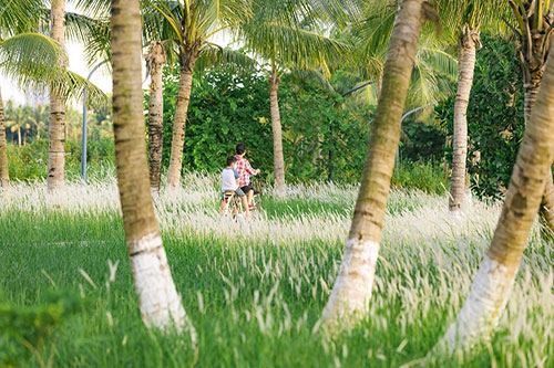 ecopark-221.jpg