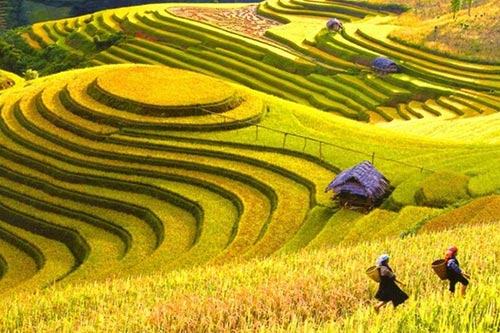 Hà Giang tổ chức trực tuyến chương trình du lịch Hoàng Su Phì