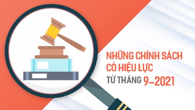 infographic nhung chinh sach co hieu luc tu thang 92021