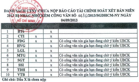 HSX: 10 công ty chưa nộp báo cáo tài chính soát xét bán niên năm 2013