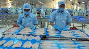 Mỹ lại áp thuế chống bán phá giá cá tra Việt Nam