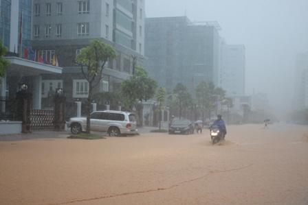 Quảng Ninh: Dừng cấp phép tàu ra các tuyến đảo