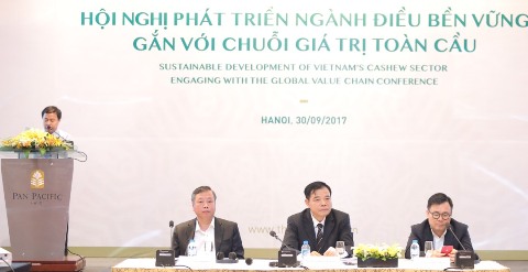 Phát triển ngành điều bền vững gắn với chuỗi giá trị toàn cầu