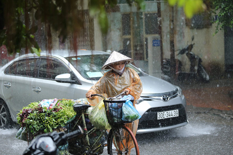 Bắc Bộ mưa dông, cảnh báo lốc, sét, mưa đá và gió giật mạnh