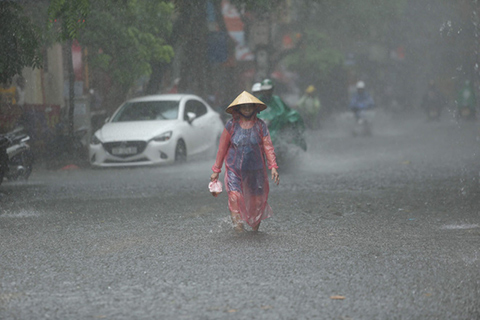 Các tỉnh Trung Trung Bộ và Nam Bộ mưa lớn