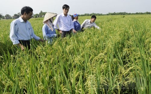 Bắc Giang: Huy động 11.389 tỷ đồng xây dựng nông thôn mới