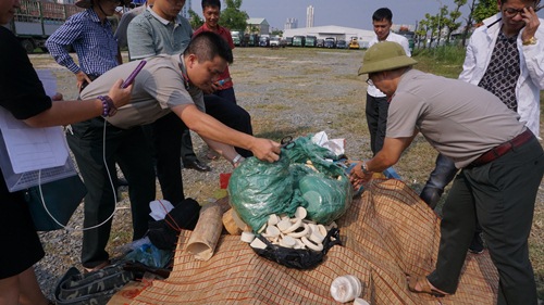 Hà Nội: Tiêu hủy 82 kg ngà voi