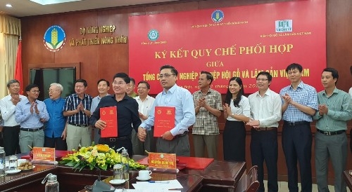 Xuất khẩu gỗ và lâm sản sẽ đạt trên 12 tỷ USD trong năm 2020