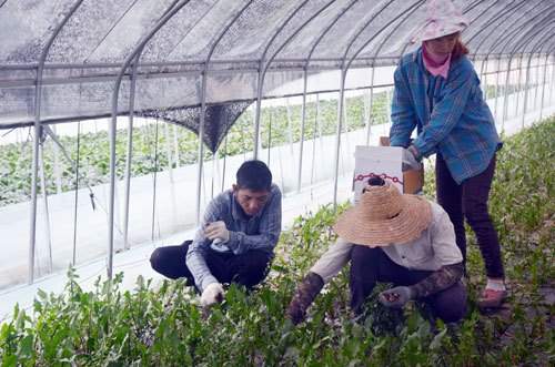 Lao động Việt Nam tại nước ngoài gặp khó do dịch Covid -19