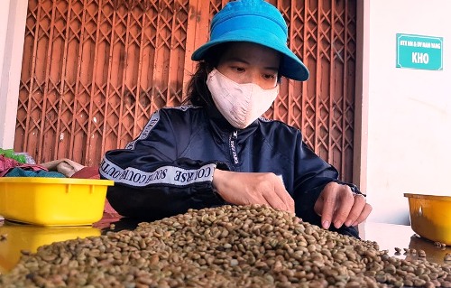 Xuất khẩu