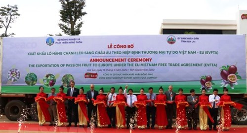 100 tấn chanh leo đầu tiên xuất khẩu sang Châu Âu