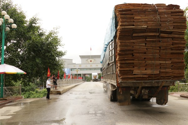 Cao Bằng: Triển khai đồng bộ các giải pháp thu ngân sách