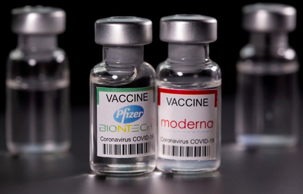 Vaccine ngừa COVID-19 Pfizer và Moderna.