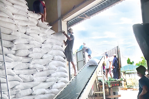 Cục Dự trữ Nhà nước khu vực Nghĩa Bình xuất cấp hơn 1.000 tấn gạo hỗ trợ người dân