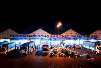 TP.Hồ Chí Minh: Mở lại hoạt động các chợ đầu mối