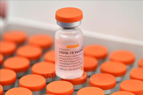 Vaccine ngừa COVID-19 của Sinovac.