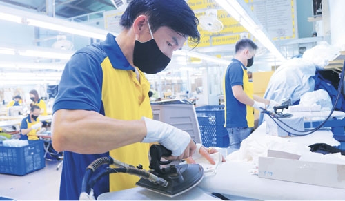 Hỗ trợ doanh nghiệp để thu bền vững trong tương lai