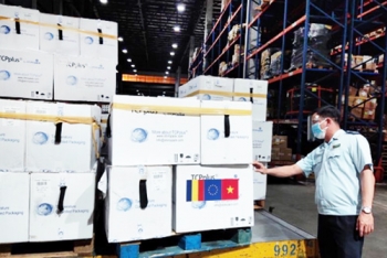 Hải quan TP. Hồ Chí Minh: Tích cực, đồng lòng trên tuyến đầu chống dịch