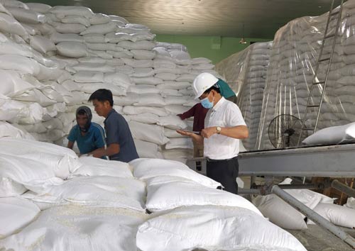 Xuất cấp 739,86 tấn gạo cho Bình Định hỗ trợ người dân bị hạn hán