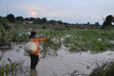 Các hồ thủy điện chưa nghiêm túc thực hiện các quy định