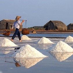 Lấy ý kiến về dự thảo Quy chuẩn kỹ thuật Quốc gia đối với muối ăn