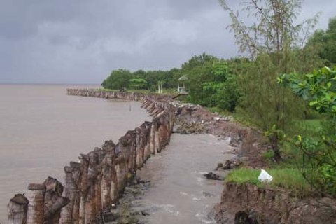 gan 700 nghin usd de cai thien moi truong tai vinh long
