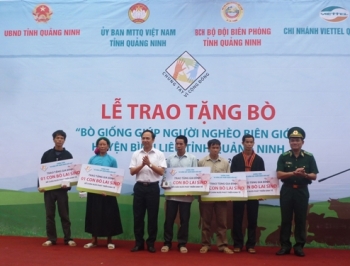 Quảng Ninh trao tặng 226 con bò giống giúp người nghèo xã biên giới