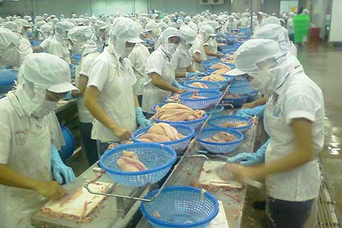 Gia nhập TPP: 70% hàng hóa của Việt Nam sẽ có thuế xuất khẩu bằng 0%