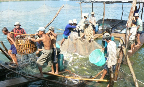 Miễn thuế tài nguyên đối với tổ chức,ổchứccánhânkhaitháchảisảntựnhiênđượcmiễnthuếtàinguyê<strong>kqbd iceland</strong> cá nhân khai thác hải sản tự nhiên