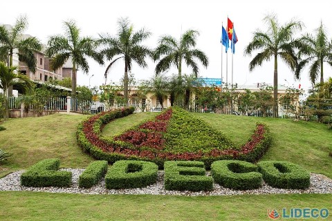 NTL thành lập hai công ty mới