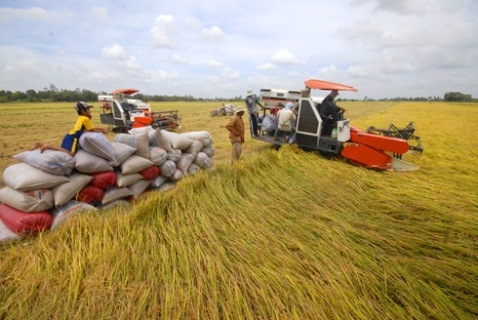 Agribank góp sức giải quyết ‘bài toán’ bảo hiểm nông nghiệp