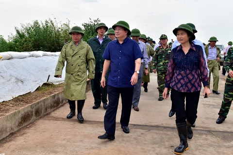 Quảng Ninh huy động hàng nghìn cán bộ, chiến sĩ giúp dân chống bão