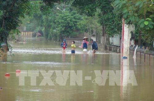 Quảng Bình: Mưa to, hàng trăm nhà dân ngập trong nước