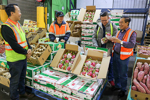 Sôi động "Ngày Thanh long Việt Nam" tại Australia