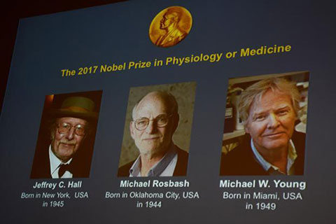 giải nobel