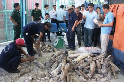 Hải quan TP. Hồ Chí Minh: Phát hiện hàng hóa vi phạm lên tới trên 100 tỷ đồng