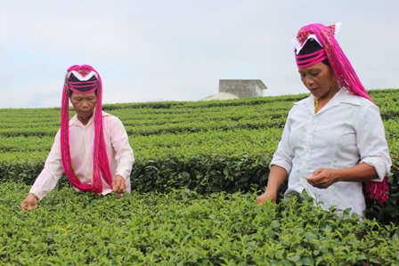 Quảng Ninh: Quyết đưa các xã, thôn ra khỏi diện đặc biệt khó khăn