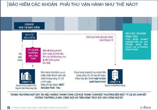 bao hiem cac khoan phai thu