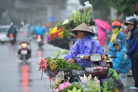 Thời tiết ngày 3/10: Nhiều khu vực Bắc Bộ mưa rào và dông