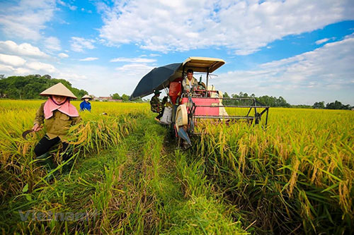 Miễn, giảm thuế sử dụng đất nông nghiệp: Chính sách ưu việt hỗ trợ phát triển tam nông