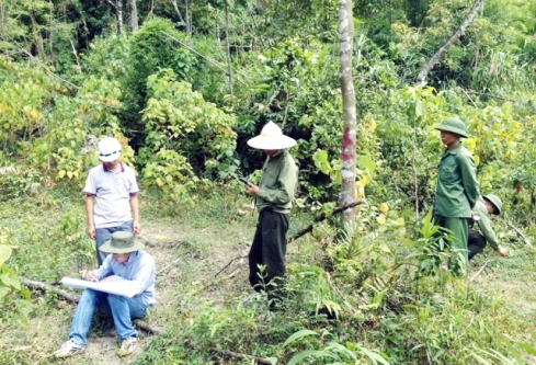 Thu hơn 2.431 tỷ đồng từ chi trả dịch vụ môi trường rừng